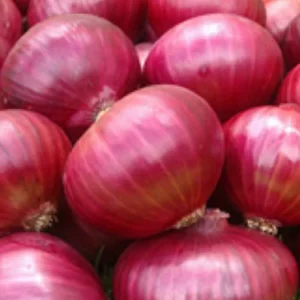 ONION 1KG