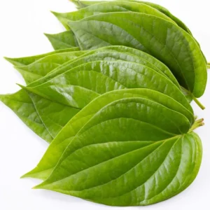 BETEL LEAF (kashea paan ) 5ALA